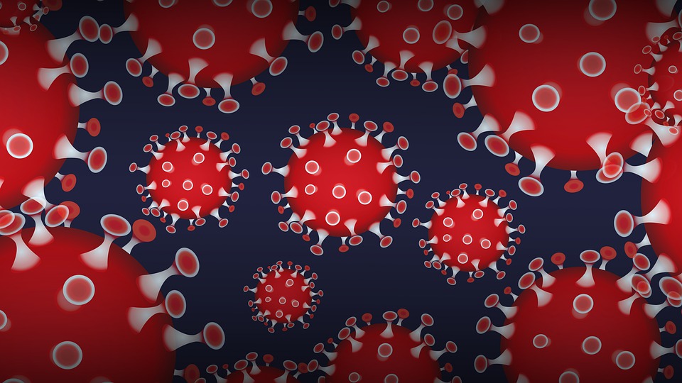 Corona Virus